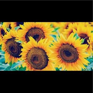 Meet your Posher, Alison